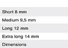 ancorex14b