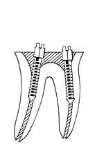 dental07