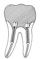 dental08