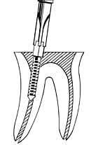 dental06